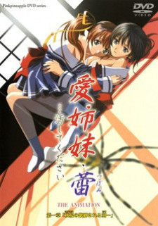 Аморальные сёстры 3 / Ai Shimai Tsubomi... Kegashite Kudasai