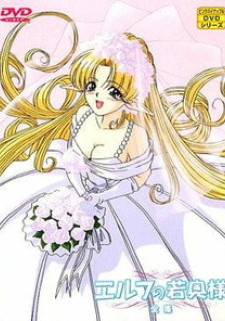 Эльфийская невеста / Elf no Wakaokusama