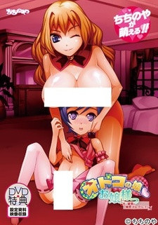 Мальчик и его хозяйка: Тайная коллекция / Otoko no Ko Ojousama