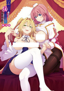 Я прибыл в другой мир, поэтому буду наслаждаться своими сексуальными навыками на полную / Isekai Kita no de Sukebe Skill de Zenryoku Ouka Shiyou to Omou The Animation